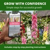 image:imageHOME GROWN Summer Carnival Giant Hollyhock Seeds 2000 Seeds Alcea rosea  2000 Seeds 1000 Each 2 Pack  Zones 39  Pollinator Friendly  NonGMO Heirloom  BiennialShortLived Perennial