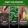 image:imageHOME GROWN Summer Carnival Giant Hollyhock Seeds 2000 Seeds Alcea rosea  2000 Seeds 1000 Each 2 Pack  Zones 39  Pollinator Friendly  NonGMO Heirloom  BiennialShortLived Perennial