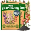 image:imageHOME GROWN Fairy Snapdragon Seeds 14000 Seeds Linaria maroccana  14000 Seeds 7000 Each 2 Pack  Zones 210  Pollinator Friendly  NonGMO Heirloom  Annual