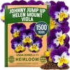 image:imageHOME GROWN Johnny Jump Up Helen Mount Viola Seeds 1500 Viola Tricolor  1500 Tricolor Seeds  Zones 39  Pollinator Friendly  NonGMO Heirloom  AnnualBiennial