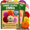 image:imageHOME GROWN Lilliput Dwarf Zinnia Seeds 1200 Seeds Zinnia elegans  1200 Seeds 600 Each 2 Pack  Zones 310  Pollinator Friendly  NonGMO Heirloom  Annual