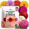 image:imageHOME GROWN Oklahoma Zinnia Seeds 300 Seeds Zinnia elegans  300 Seeds  Zones 211  Full Sun  Cut Flower Favorite  NonGMO Heirloom  Annual