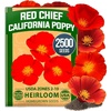 image:imageHOME GROWN Red Chief California Poppy Seeds 2500 Eschscholzia californica  2500 Seeds  Zones 210  Full Sun  Drought Tolerant  NonGMO Heirloom  Annual Wildflower