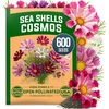 image:imageHOME GROWN Sea Shells Cosmos Seeds 600 Seeds Cosmos bipinnatus  600 Seeds  Zones 211  Pollinator Friendly  NonGMO Heirloom  Annual
