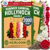 image:imageHOME GROWN Summer Carnival Giant Hollyhock Seeds 2000 Seeds Alcea rosea  2000 Seeds 1000 Each 2 Pack  Zones 39  Pollinator Friendly  NonGMO Heirloom  BiennialShortLived Perennial
