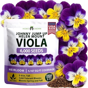 image:imageHOME GROWN Johnny Jump Up Helen Mount Seeds 6000 Seeds Viola Tricolor  6000 Seeds  Zones 39  Pollinator Friendly  NonGMO Heirloom  AnnualBiennial