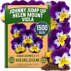 image:imageHOME GROWN Johnny Jump Up Helen Mount Viola Seeds 1500 Viola Tricolor  1500 Tricolor Seeds  Zones 39  Pollinator Friendly  NonGMO Heirloom  AnnualBiennial