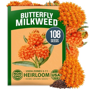 image:imageHOME GROWN Milkweed Butterfly Seeds  108 Asclepias Tuberosa  108 seeds 450mg  Zones 311 Full Sun  Monarch Host Plant  NonGMO Heirloom  Perennial Native