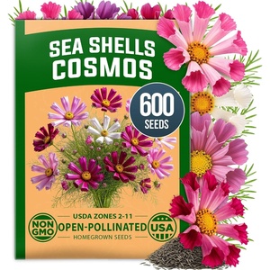 image:imageHOME GROWN Sea Shells Cosmos Seeds 600 Seeds Cosmos bipinnatus  600 Seeds  Zones 211  Pollinator Friendly  NonGMO Heirloom  Annual