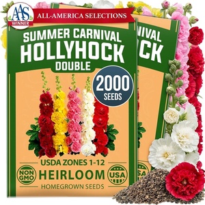 image:imageHOME GROWN Summer Carnival Giant Hollyhock Seeds 2000 Seeds Alcea rosea  2000 Seeds 1000 Each 2 Pack  Zones 39  Pollinator Friendly  NonGMO Heirloom  BiennialShortLived Perennial