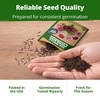 image:imageHOME GROWN Sea Shells Cosmos Seeds 1200 Seeds Cosmos bipinnatus  Heirloom NonGMO  1200 Seeds 600 Each 2 Pack  Zones 211  Full Sun  Summer to Fall Blooms  Annual
