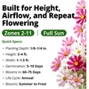 image:imageHOME GROWN Sea Shells Cosmos Seeds 1200 Seeds Cosmos bipinnatus  Heirloom NonGMO  1200 Seeds 600 Each 2 Pack  Zones 211  Full Sun  Summer to Fall Blooms  Annual