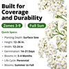 image:imageHOME GROWN White Yarrow Seeds 16000 Seeds Achillea millefolium  16000 Seeds 8000 Each 2 Pack  Zones 39  Pollinator Friendly  NonGMO Heirloom  Perennial