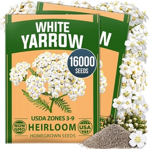 image:imageHOME GROWN White Yarrow Seeds 16000 Seeds Achillea millefolium  16000 Seeds 8000 Each 2 Pack  Zones 39  Pollinator Friendly  NonGMO Heirloom  Perennial